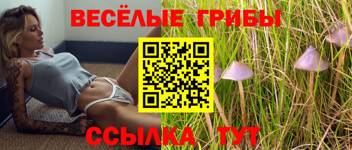Псилоцибиновые грибы прущие грибы  Псилоцибиновые грибы мицелий  Карачаевск  наркота  Вход с VPN 